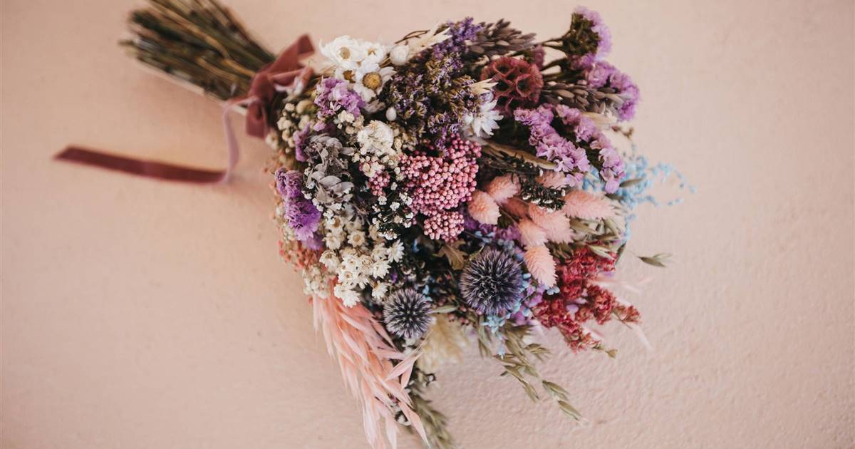 Flores preservadas: qué son, cuidados y cuánto duran 💐