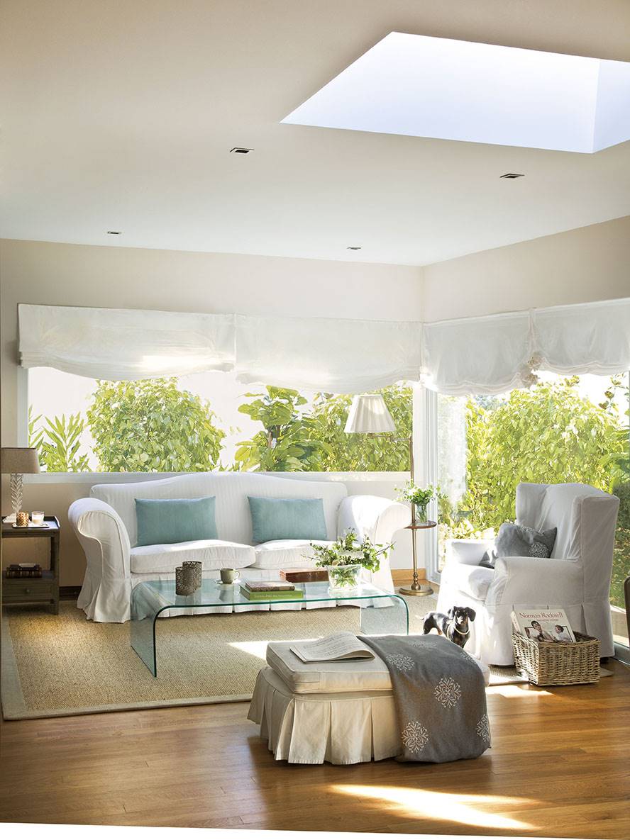 Salón con sofás y claraboya decorado con plantas de interior. 