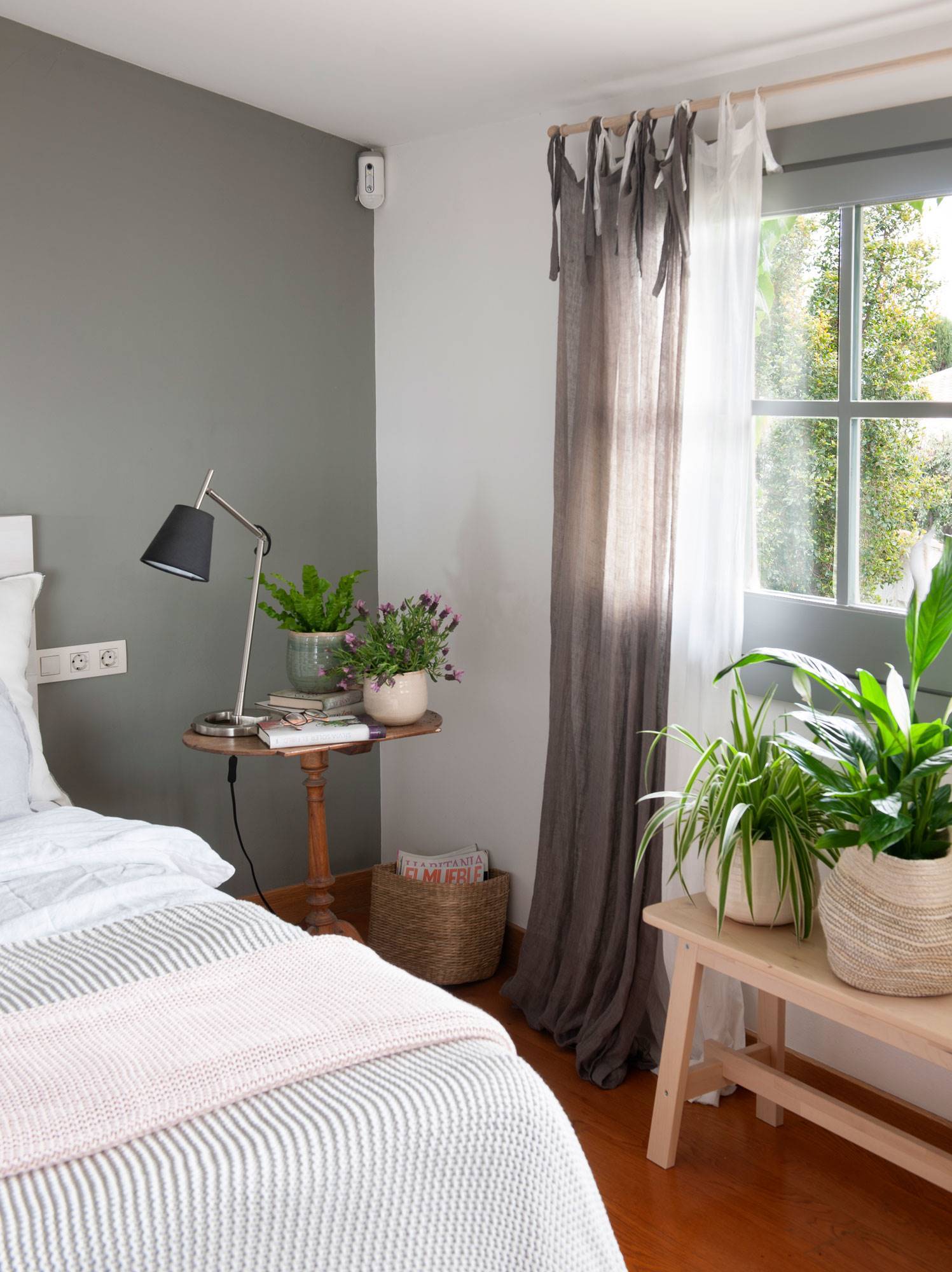 Dormitorio decorado con plantas. 