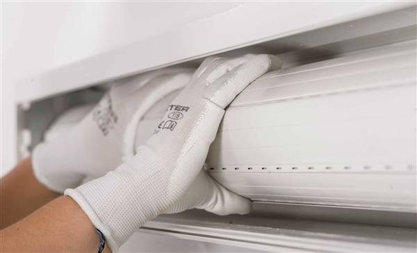 Persianistas en ﻿El Alamo