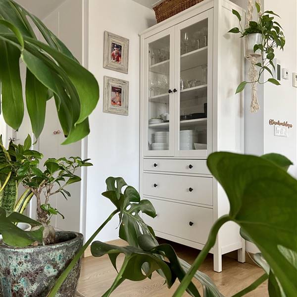 Casas de lectoras: el piso 'plant lover', blanco y con vestidor de Isabel en Barcelona