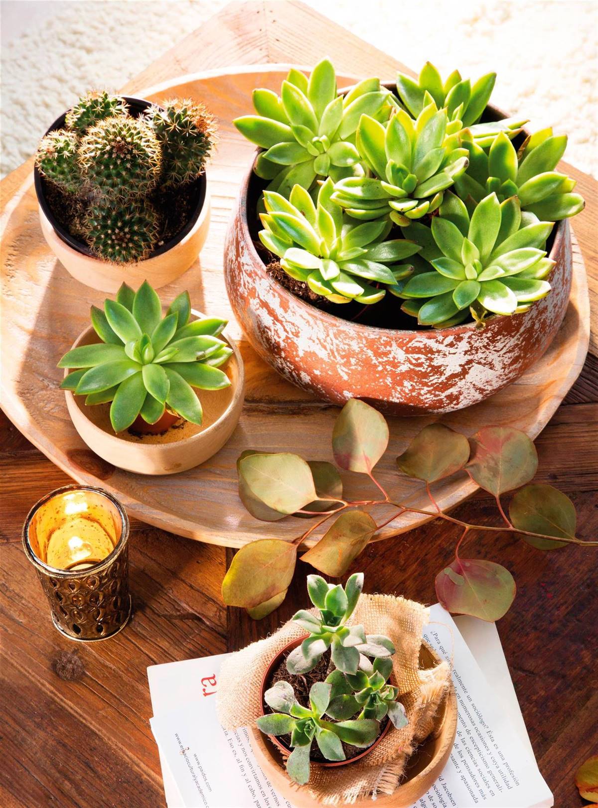 Ideas para decorar con complementos de madera y llevar la calidez a tu casa