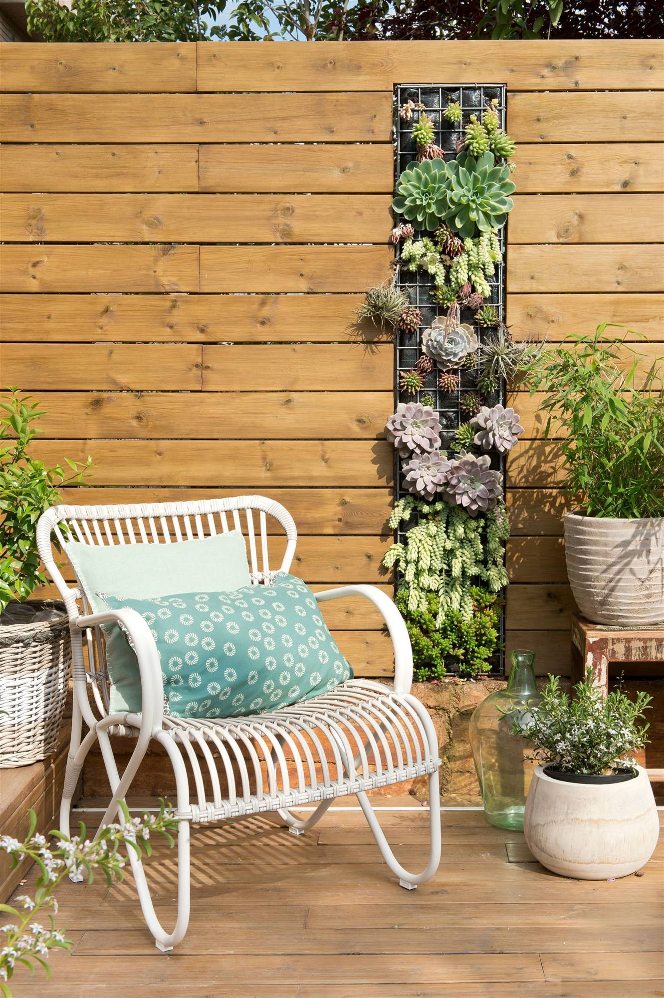 Terraza panelada de madera con jardín vertical 00406475
