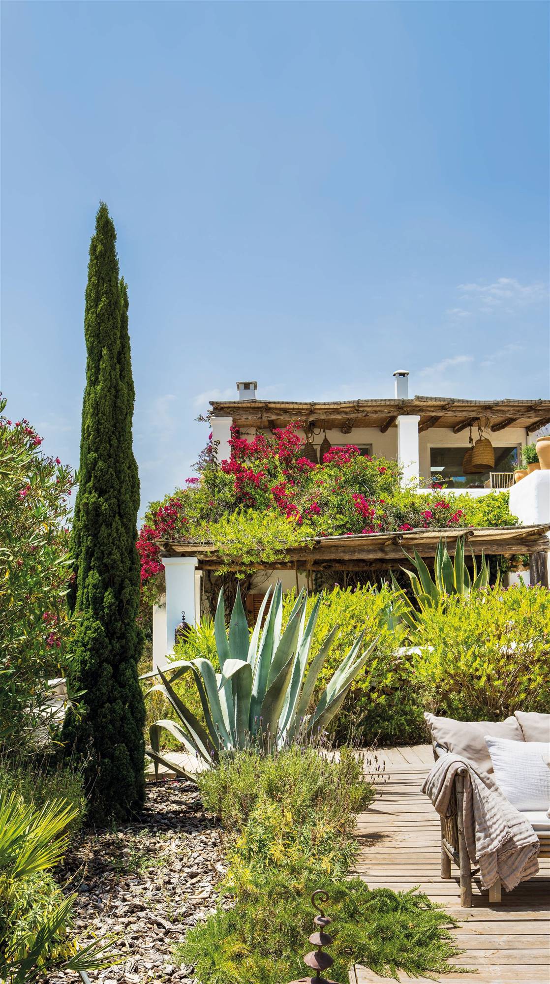 Jardín con cactus ciprés y buganvillas sobre el porche.