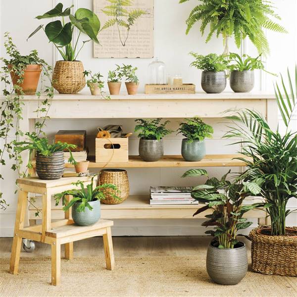 Los 10 mejores soportes para tus plantas de interior: estilosos, a buen precio y muy decorativos