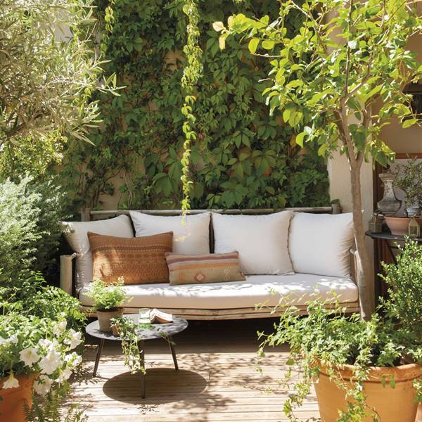 Cómo elegir y cuidar las plantas según la orientación de tu terraza