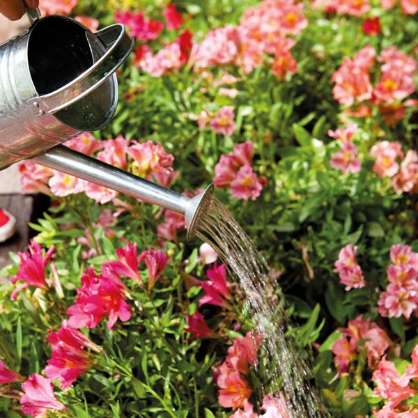 Cómo gastar menos agua en el jardín cuando comienza el buen tiempo