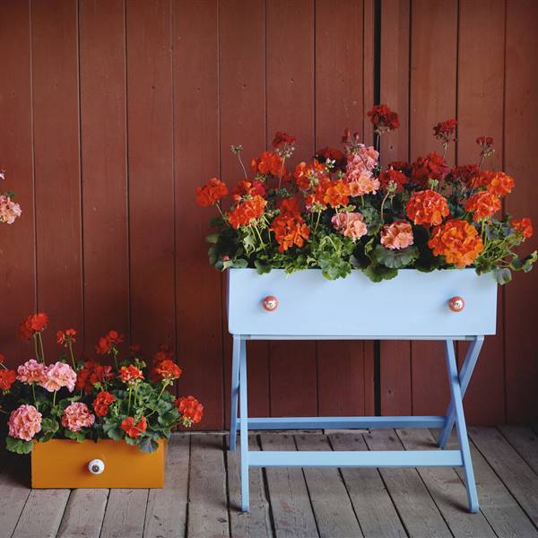 DIY: cómo hacer una original jardinera para geranios. ¡Solo necesitas un cajón y algo de imaginación!