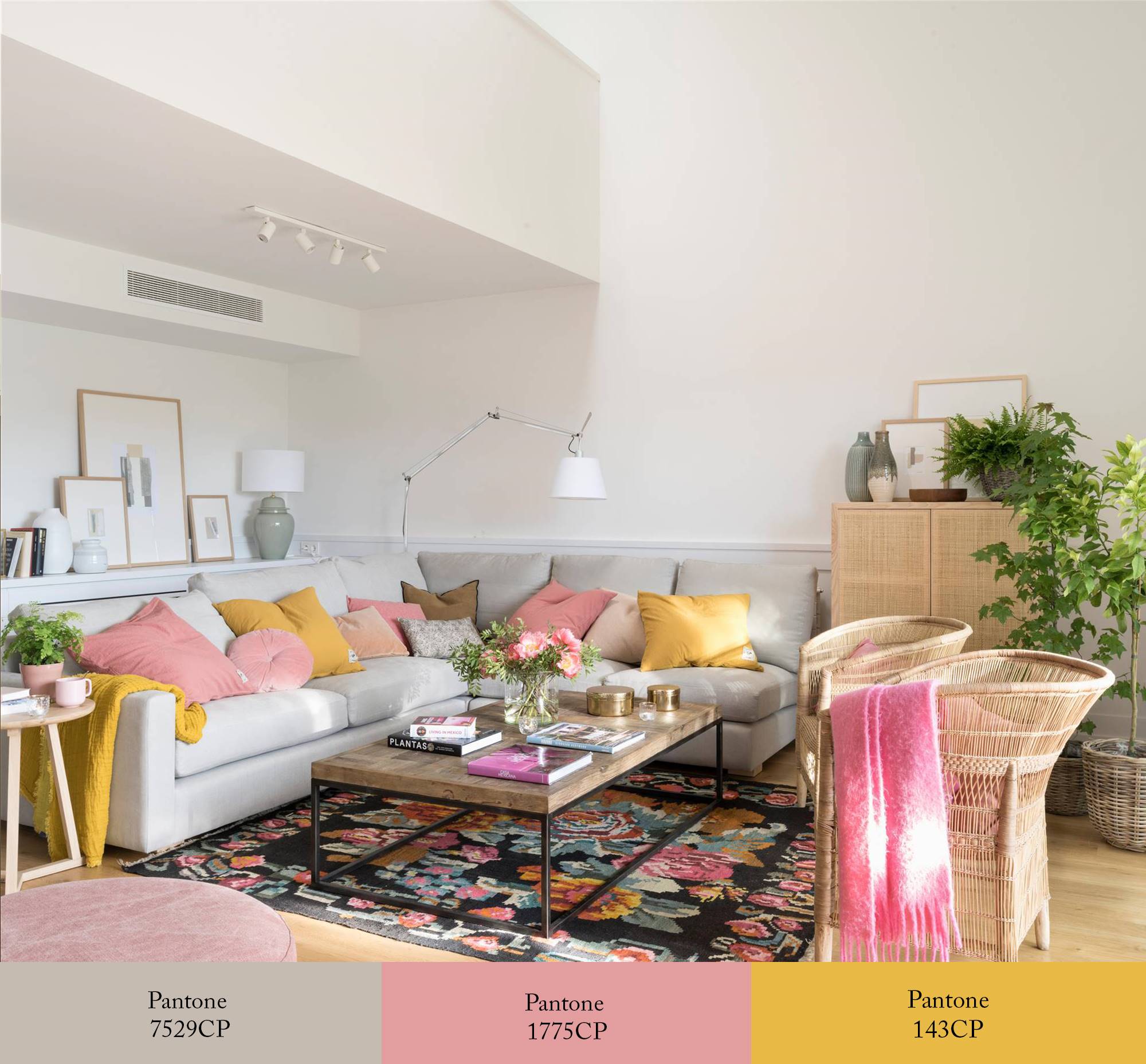 Salón con sofá gris y cojines rosas y amarillos. 