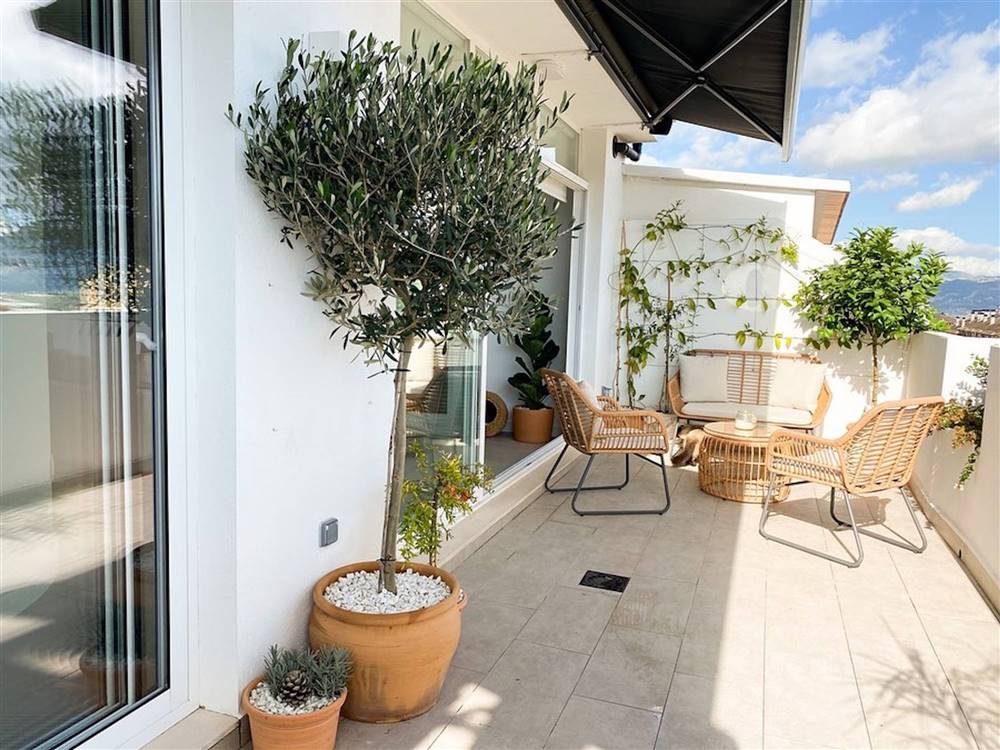 La terraza con olivos y plantas de exterior de la influencer Rosa Montero.