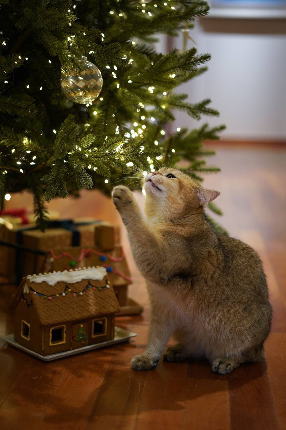 Gato jugando con un árbol de Navidad.