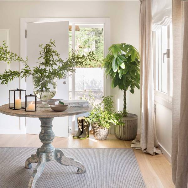 Cómo decorar con plantas de interior: 35 fantásticas ideas de la revista El Mueble (con vídeo)