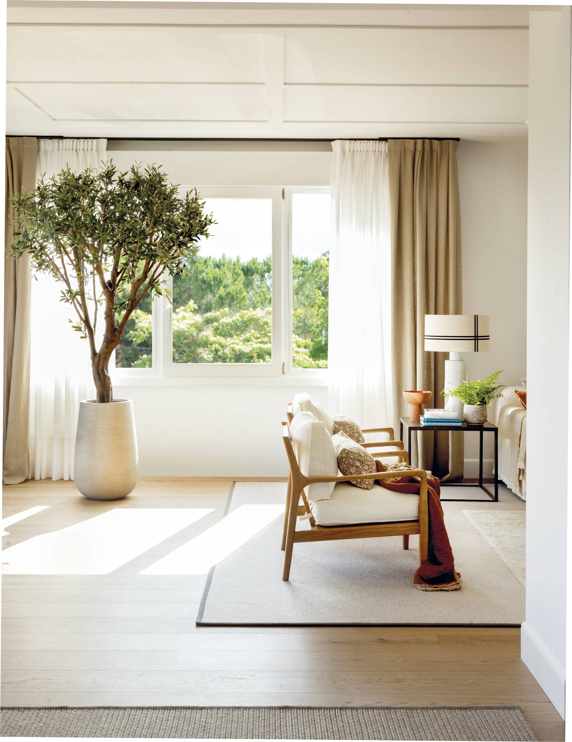 Salón con cortinas blancas y beige y árbol de interior.