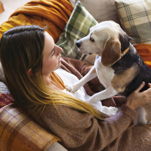 Ansiedad por separación en perros: qué es y cómo tratarla (para que tu mascota sea feliz)