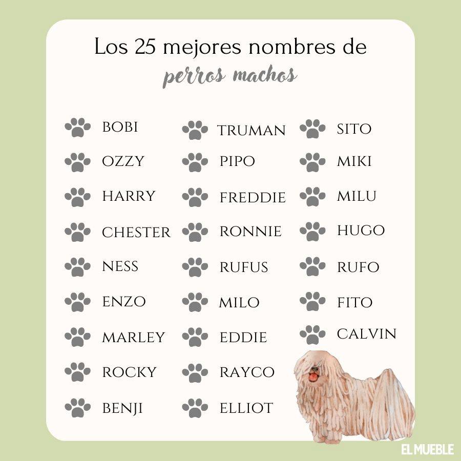 Nombres para perros machos