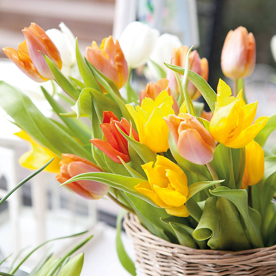 Detalle de cesto de mimbre con tulipanes