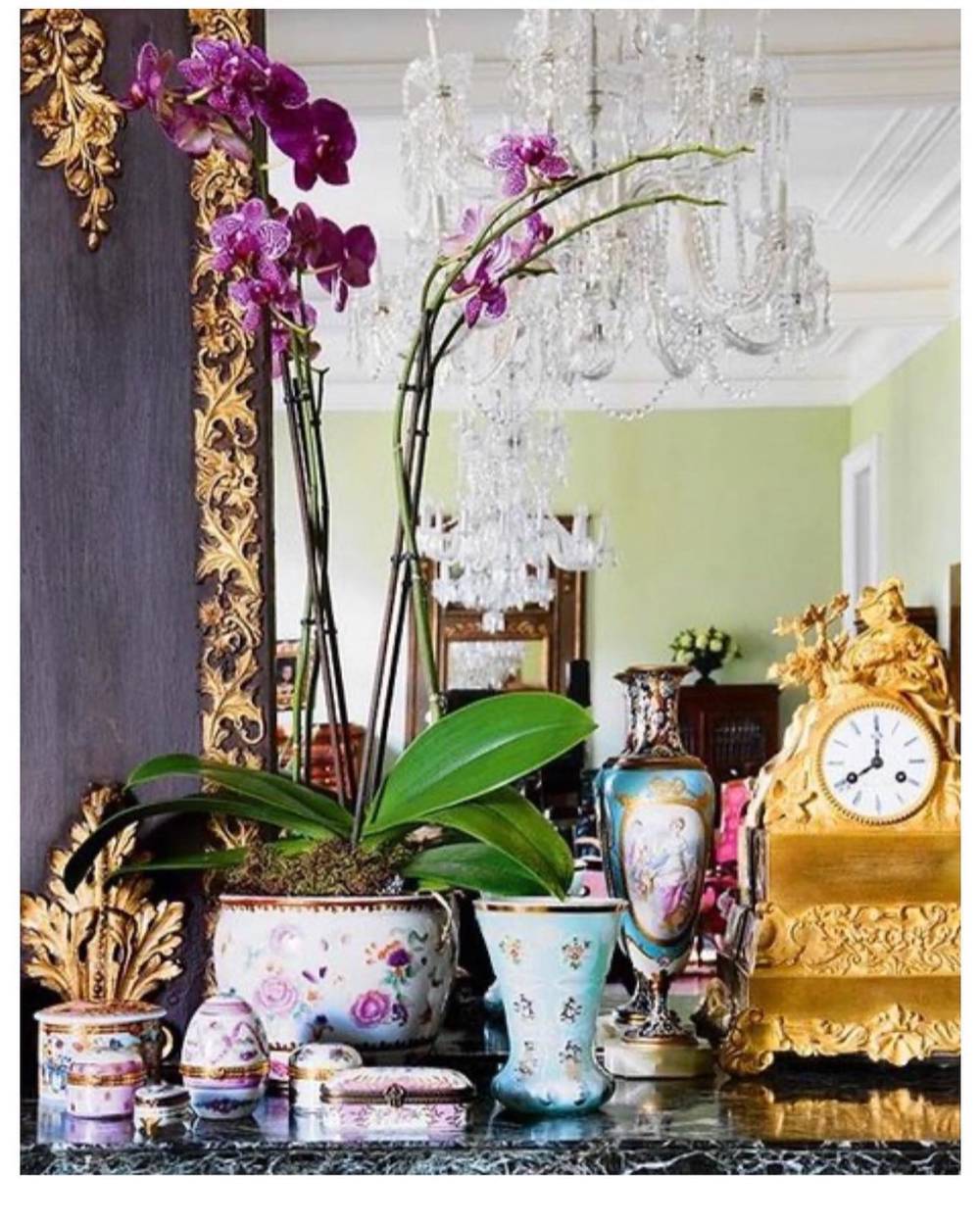 Salón con orquídeas 