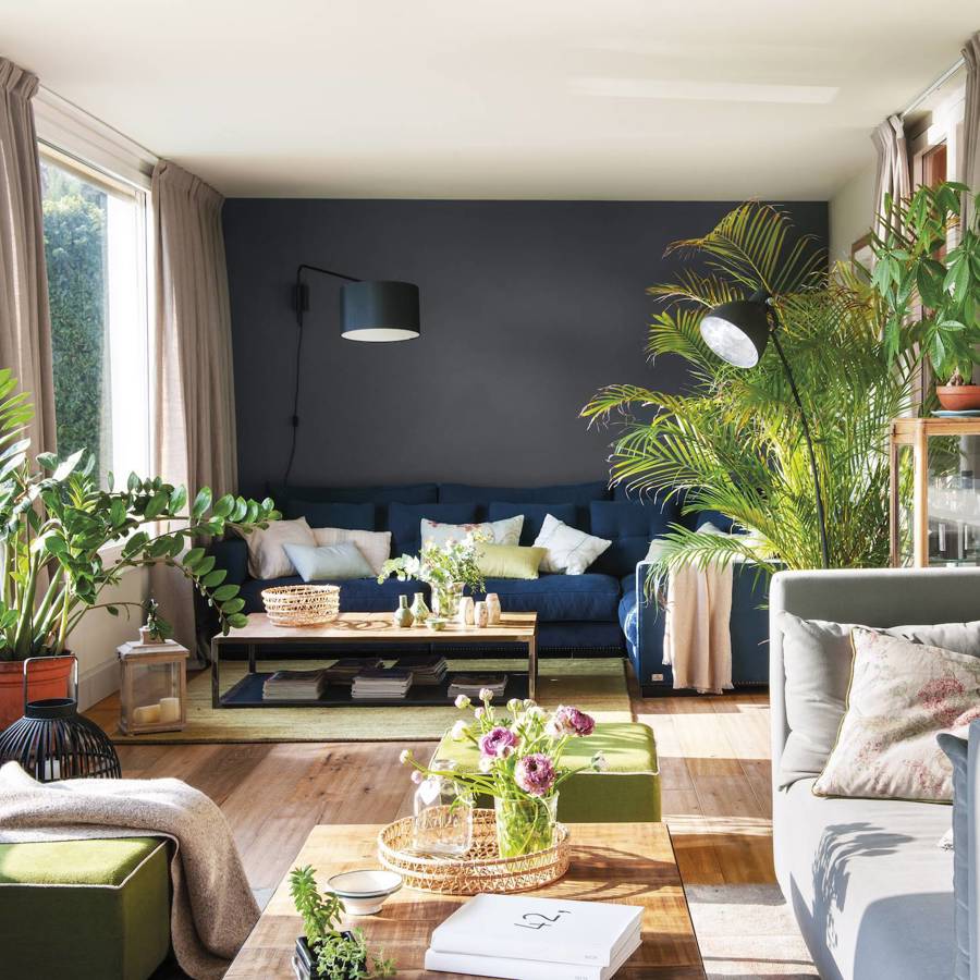 Salón con muchas plantas y sofá y pared azul