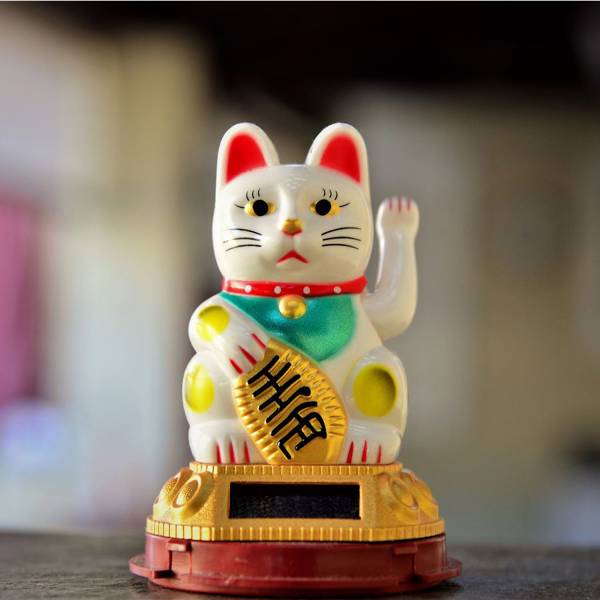 Maneki Neko: el gato de la SUERTE japonés más famoso del mundo que deberías tener para atraer la fortuna a casa