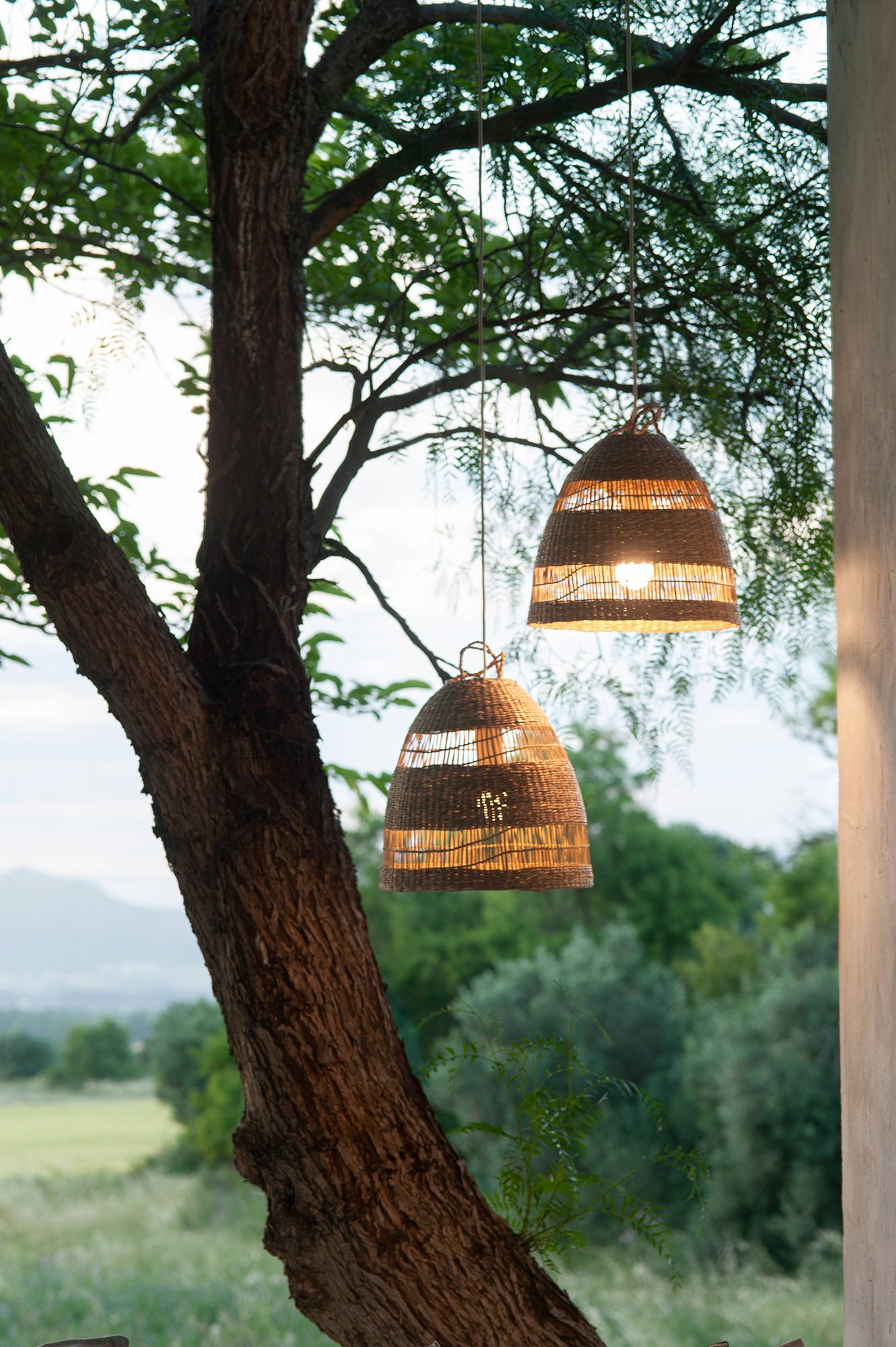 Detalle de lámparas colgantes con pantallas de fibra en un árbol del jardín