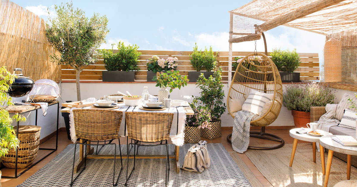 Arboles Para Terrazas