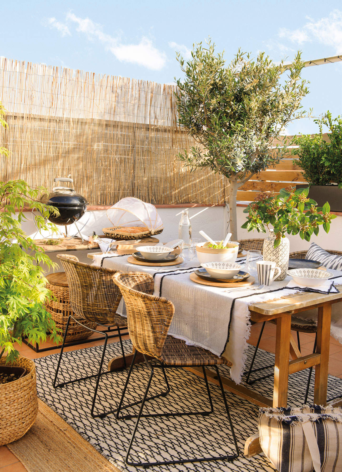 Terraza con encanto con mesa de madera, sillas de fibras, barbacoa y olivo 00458334