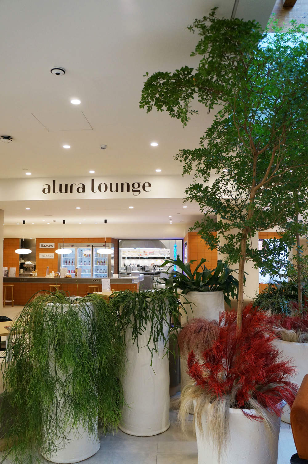 El confortable lounge del centro Alura