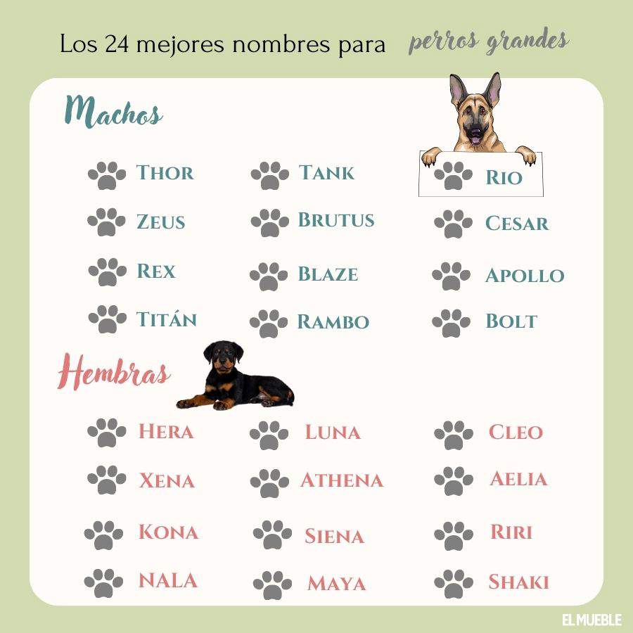 Nombres para perros grandes