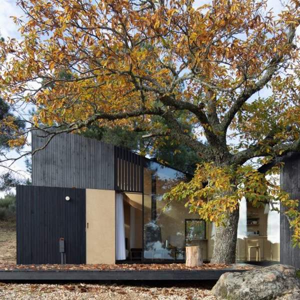 La 'Chestnut House', una MINI CASA de solo 25 m2 hecha con madera y vidrio que abraza a un castaño centenario en Portugal 