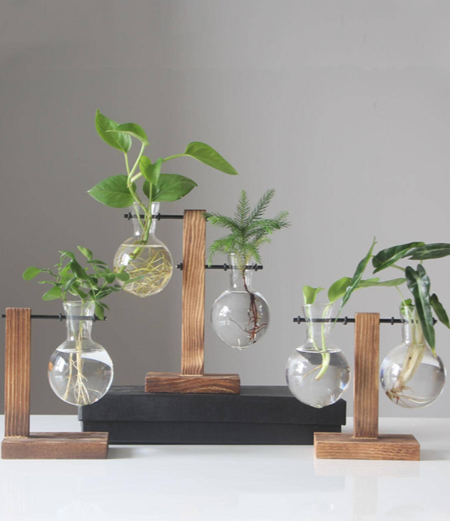 Macetas de vidrio y madera para plantas