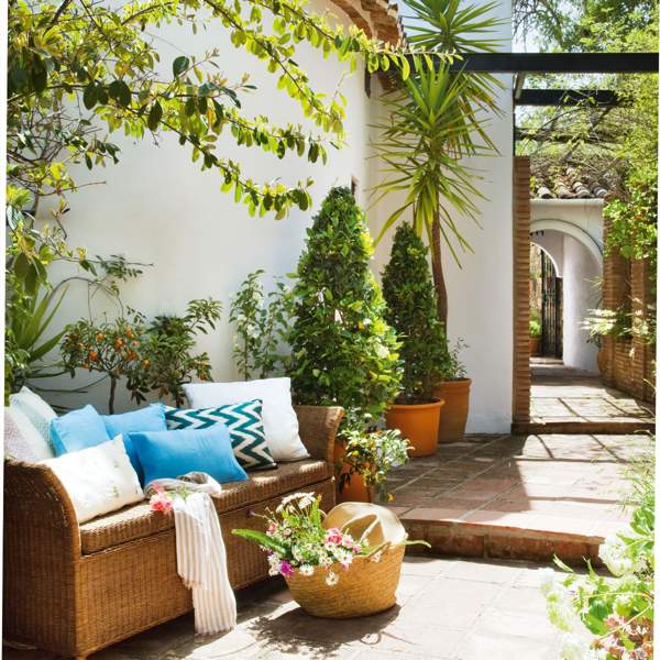 Cómo acomodar plantas en un patio pequeño: 6 ideas para sacarle partido a tu patio, balcón o terracita