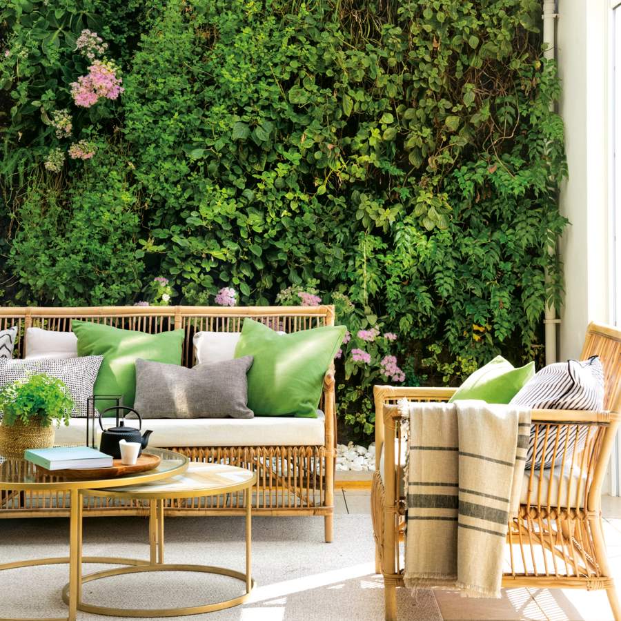 Cómo acomodar plantas en un patio pequeño: sácale partido a tu balcón, terracita o balcón con plantas.