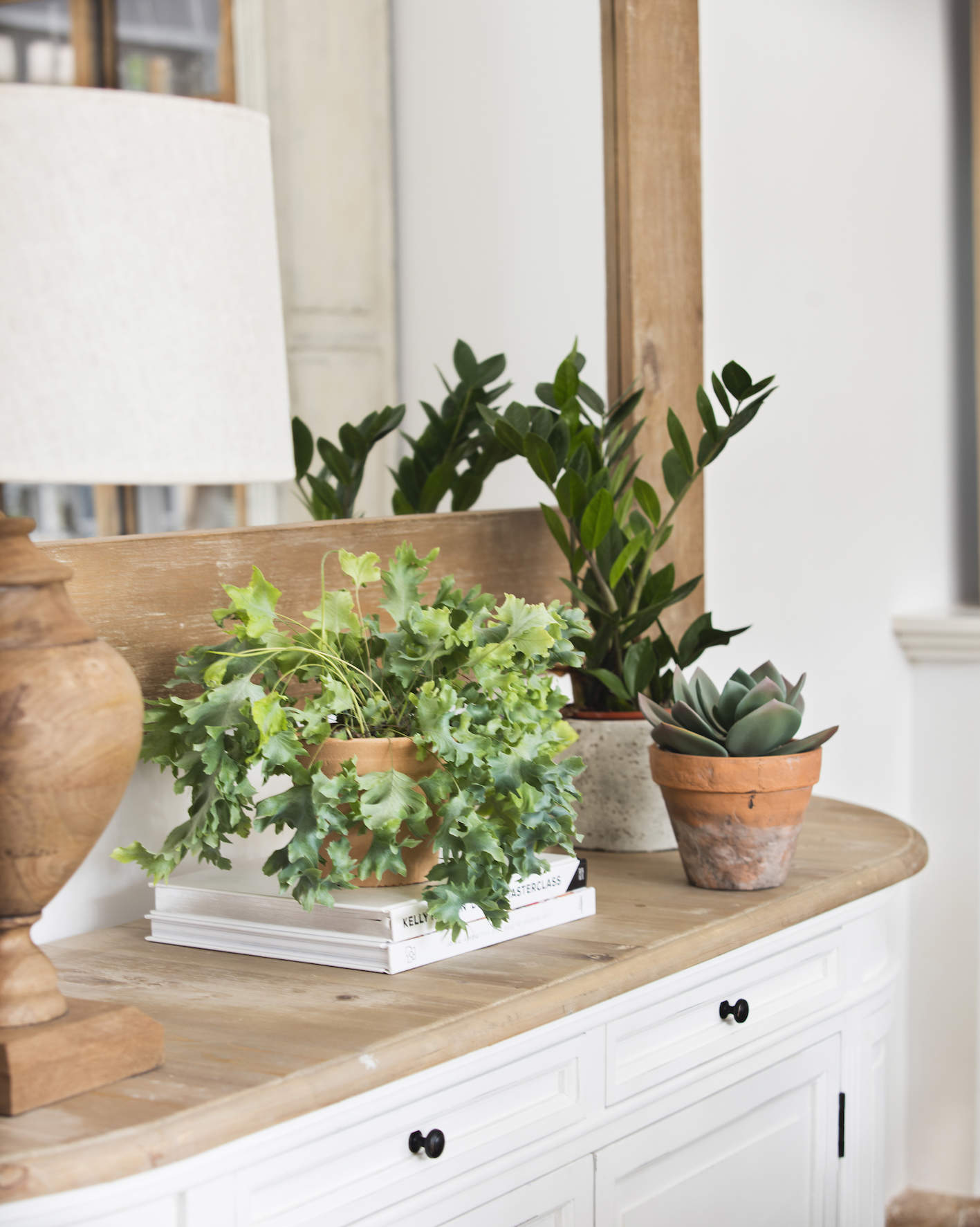 Macetas con plantas en mueble de madera