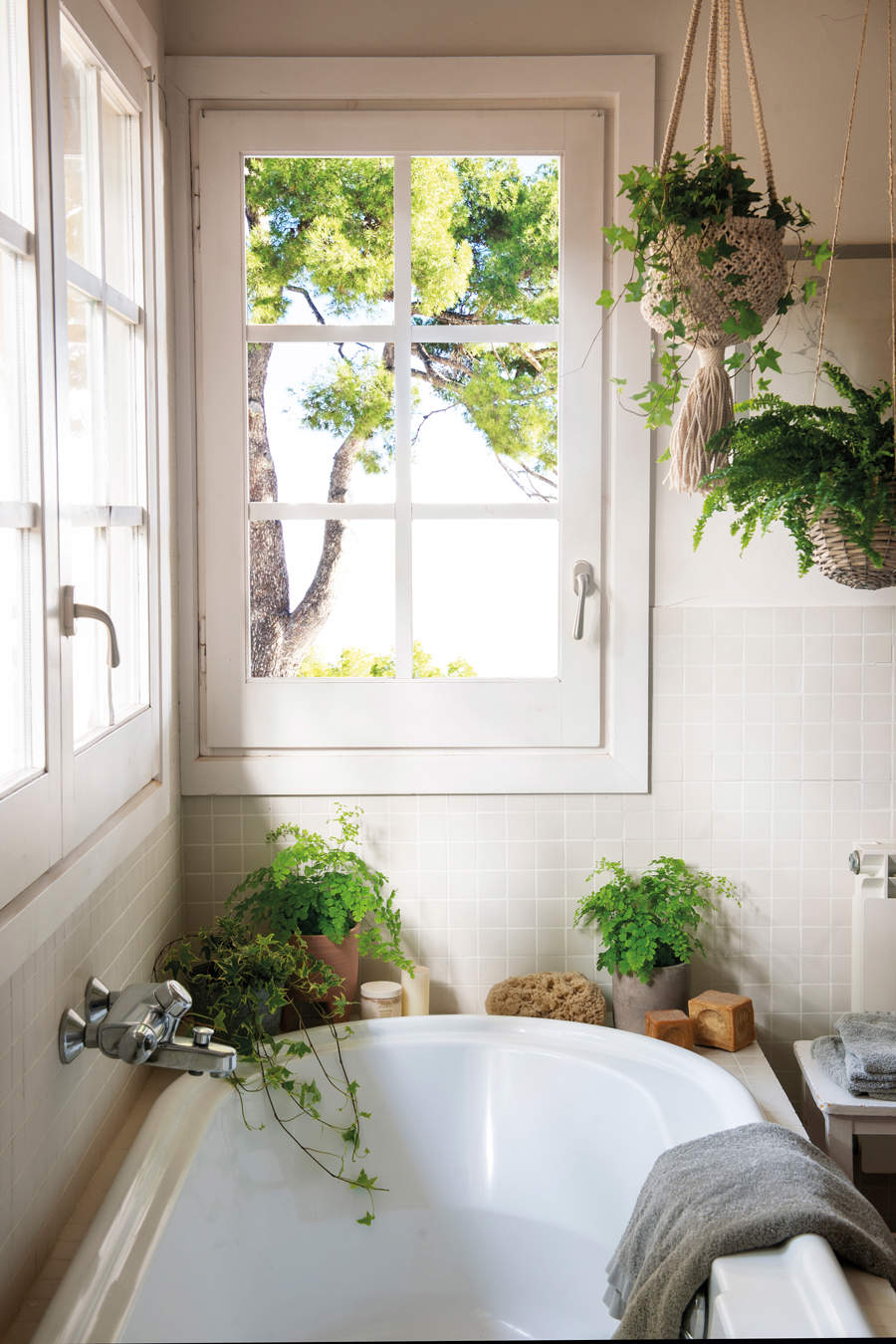 Baño, decorado con plantas.