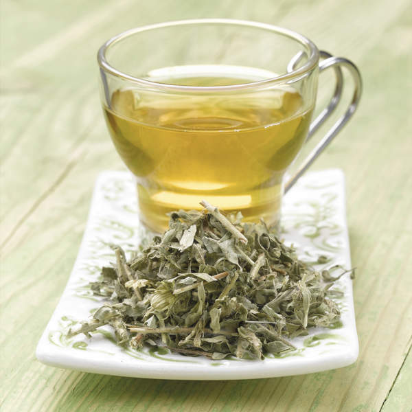 Cómo tomar té verde para bajar de peso y acelerar el metabolismo con una receta rápida y sencilla