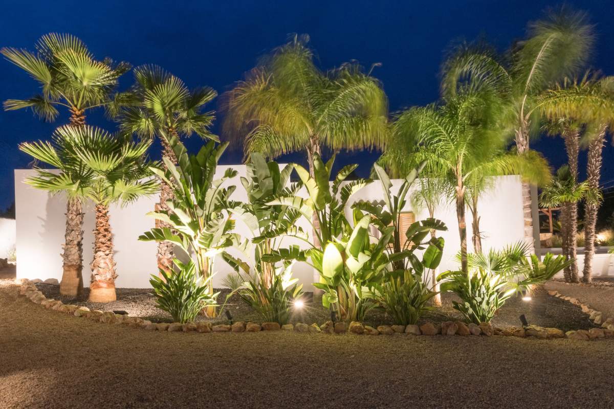 Exterior de una casa payesa en Ibiza con palmeras.