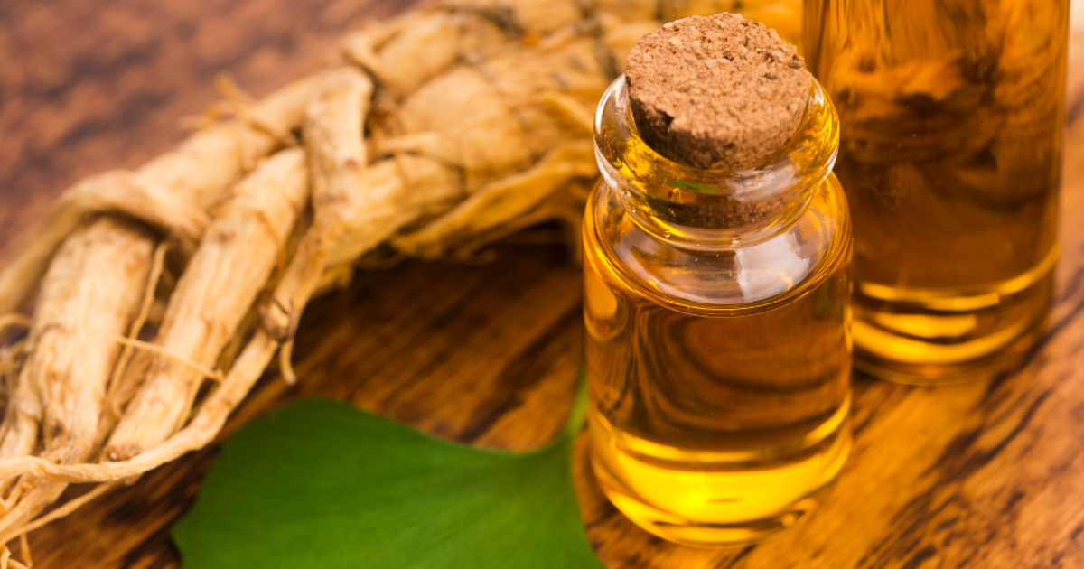 Ginkgo biloba: planta medicinal