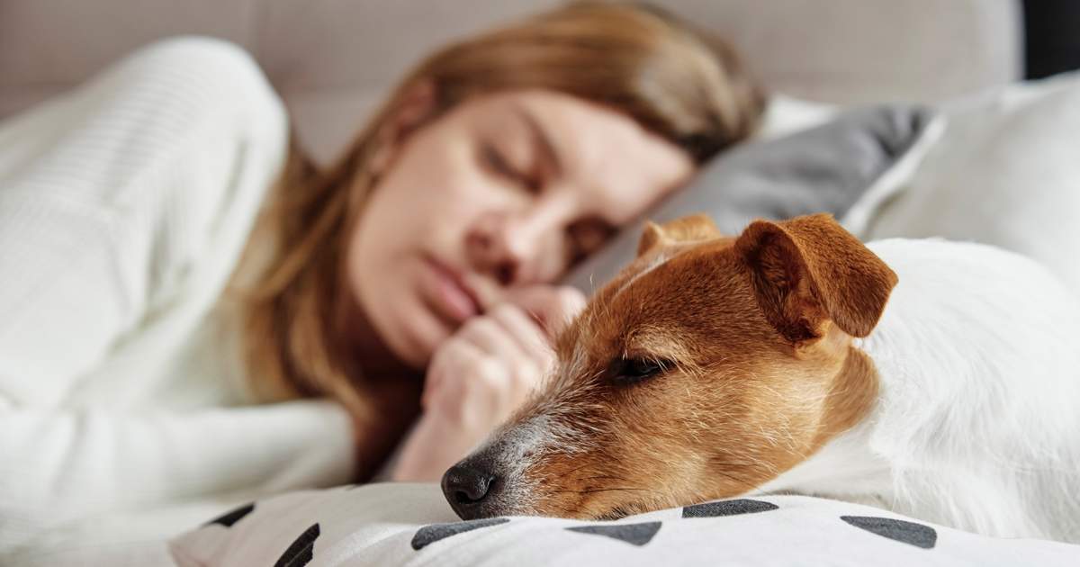 Dormir con tu mascota, ¿sí o no?: estas son las ventajas, desventajas, riesgos y enfermedades