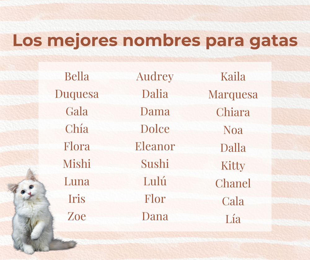 Nombres de gatas