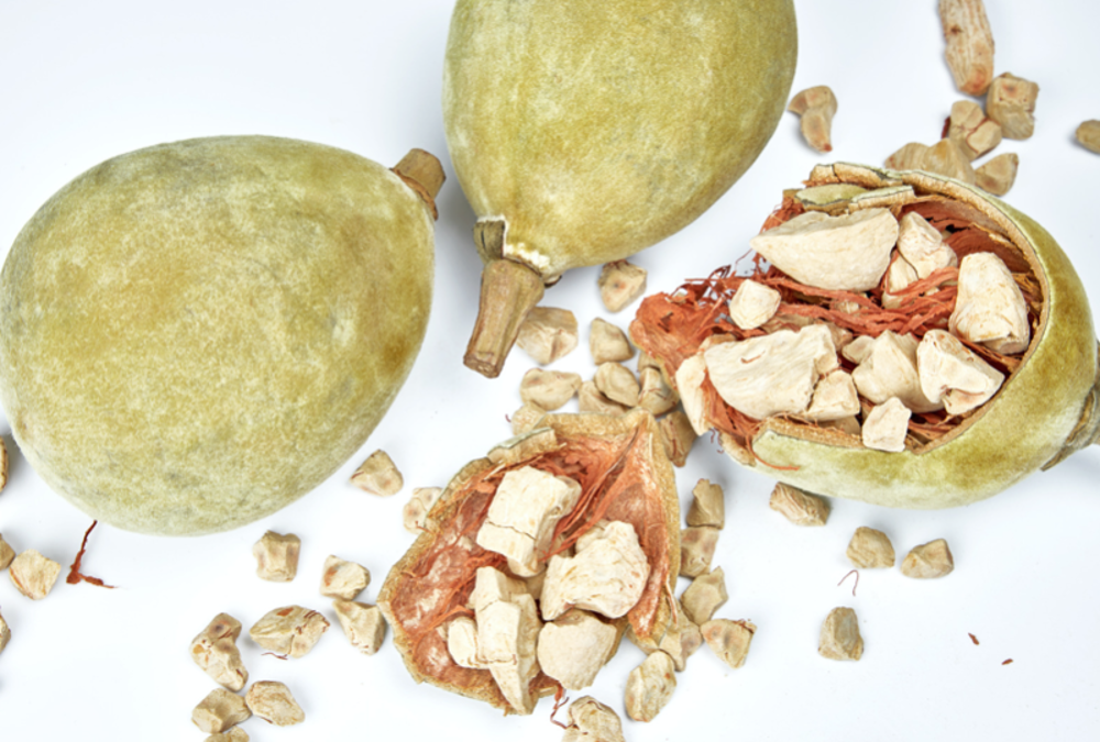 Fruta de bao bab calcio, fibra y vitaminas