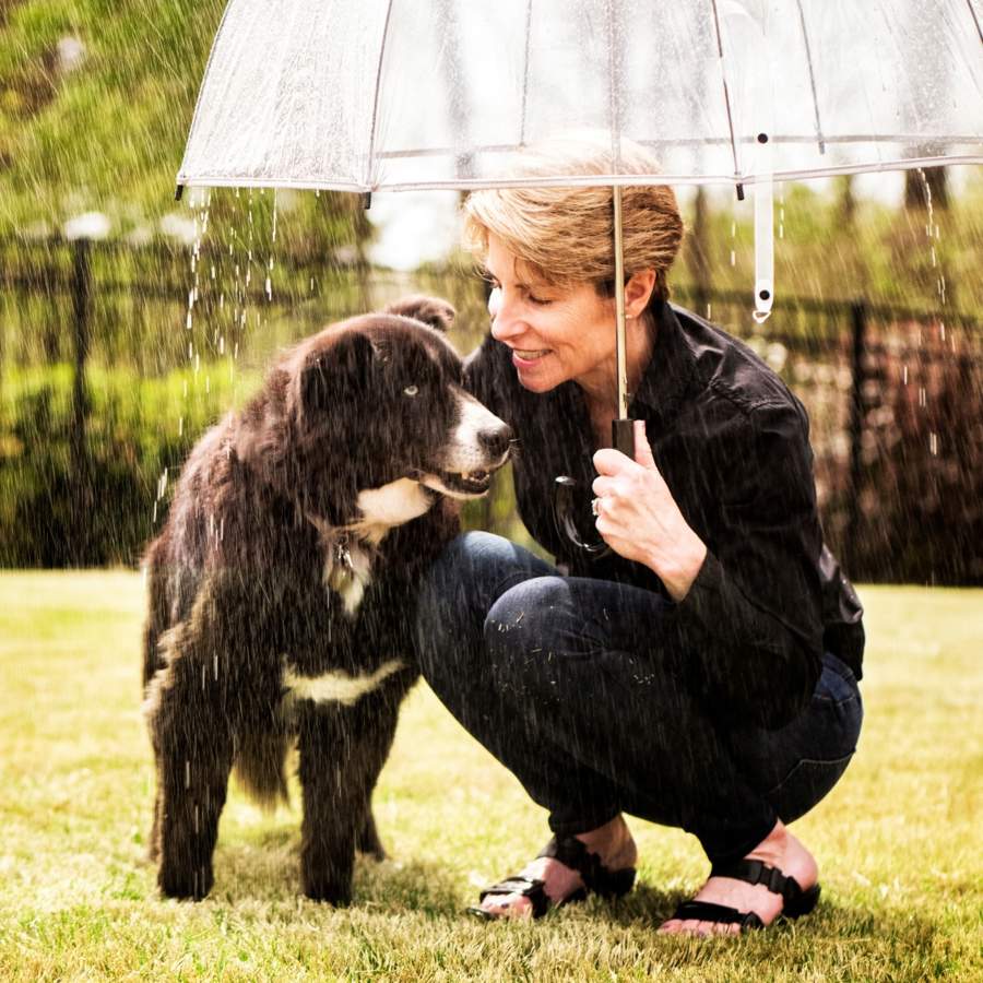 Perro paseando con lluvia