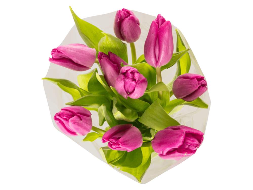 Ramo de tulipanes de ALDI