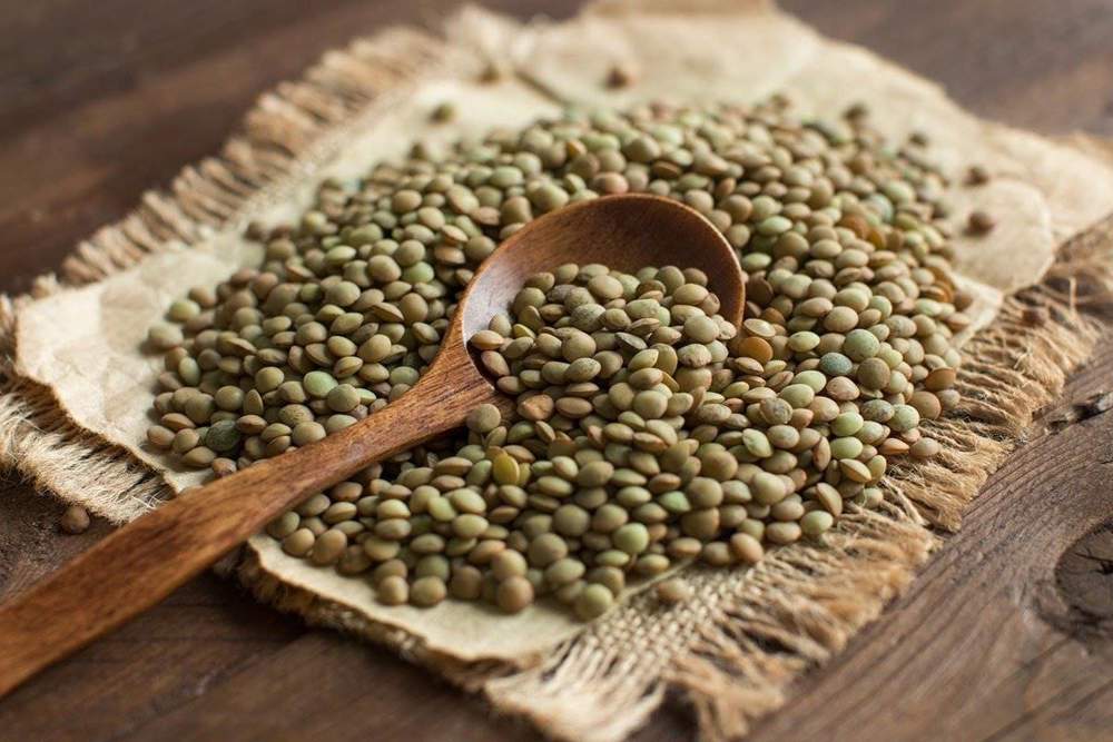 Fertilizante para plantas hecho con agua de lentejas