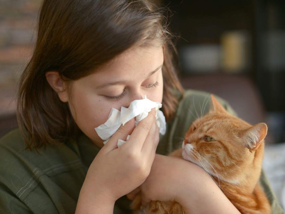 Una mujer tiene alergia de un gato