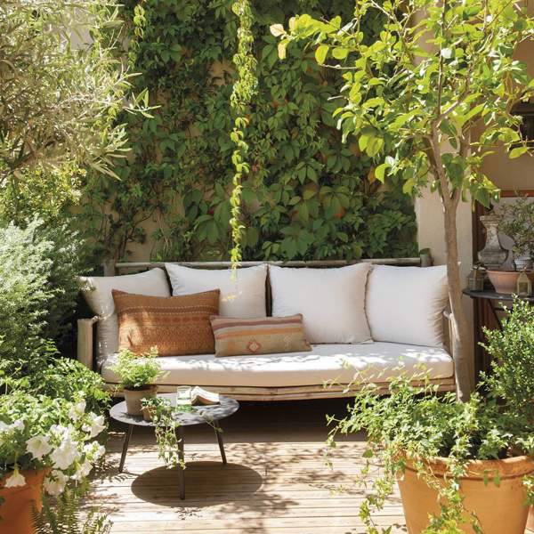 Decorar la pared de la terraza o el patio con enredaderas y que quede espectacular: 5 plantas con poco mantenimiento para lograrlo