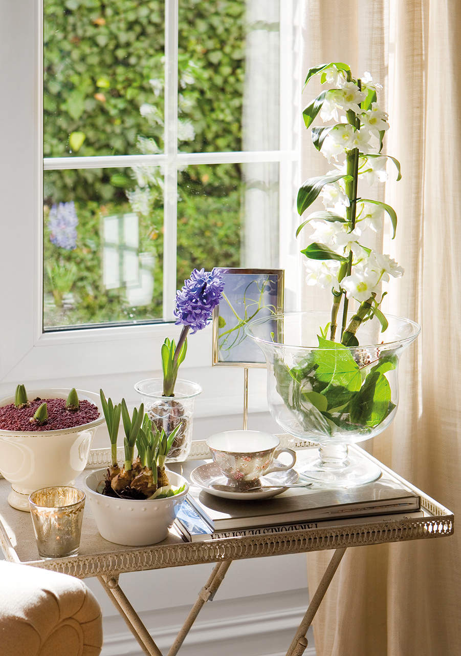 Detalle de jacinto y orquídea sobre la mesa.
