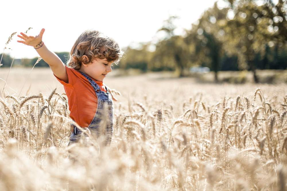Niño en un campo de trigo