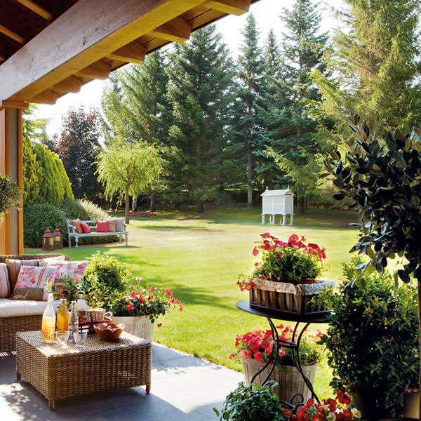 38 plantas de exterior resistentes al sol y al calor, ¡ideales para tu terraza!