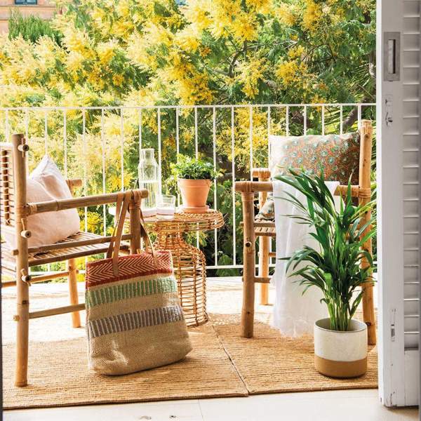 La planta con flor resistente que tiene en oferta Lidl que llenará tu balcón o terraza de color por 1,99 euros