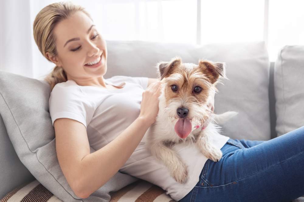Un perro con su dueña en el sofá